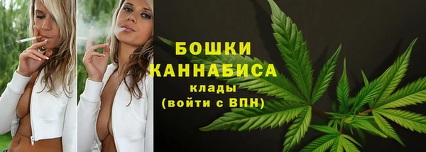 mdma Заводоуковск