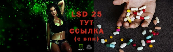 стаф Елизово