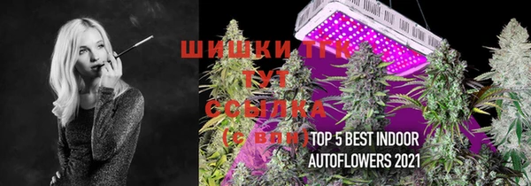 mdma Заводоуковск