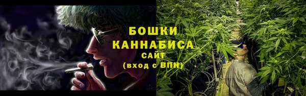 стаф Елизово